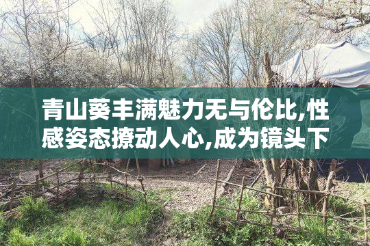 青山葵丰满魅力无与伦比,性感姿态撩动人心,成为镜头下