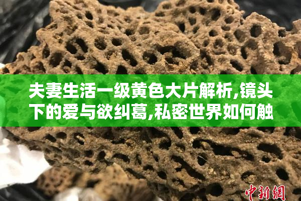 夫妻生活一级黄色大片解析,镜头下的爱与欲纠葛,私密世界如何触动