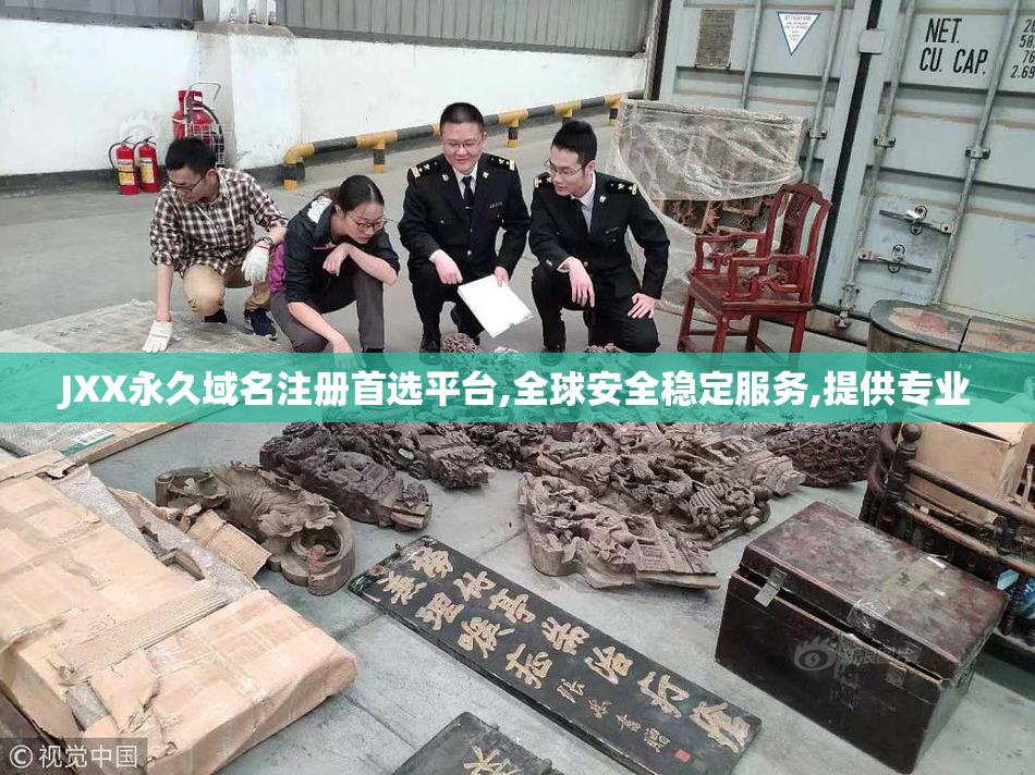 JXX永久域名注册首选平台,全球安全稳定服务,提供专业
