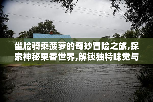 坐脸骑乘菠萝的奇妙冒险之旅,探索神秘果香世界,解锁独特味觉与