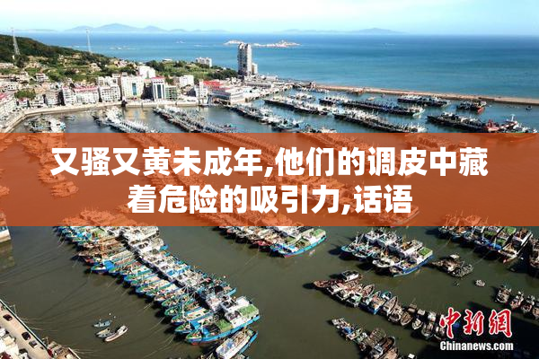又骚又黄未成年,他们的调皮中藏着危险的吸引力,话语