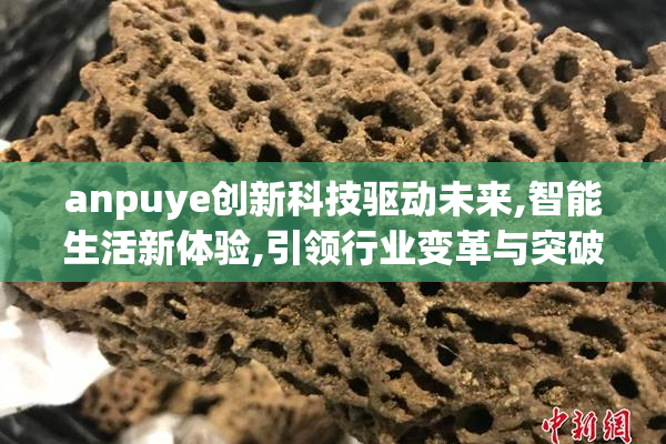 anpuye创新科技驱动未来,智能生活新体验,引领行业变革与突破