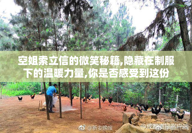 空姐索立信的微笑秘籍,隐藏在制服下的温暖力量,你是否感受到这份