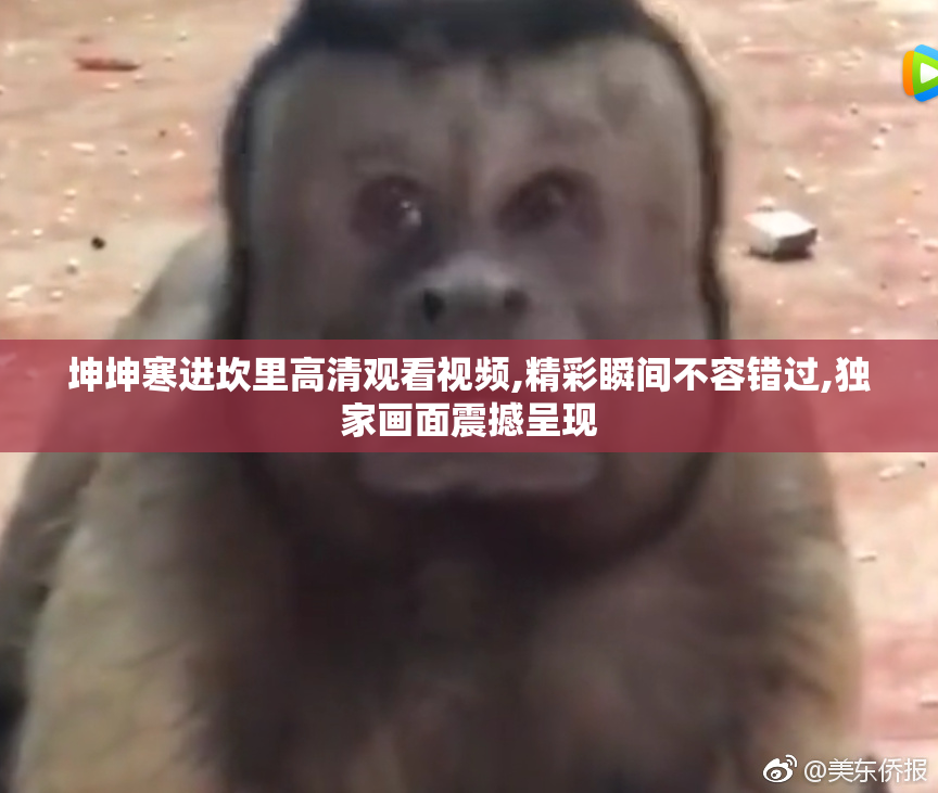 坤坤寒进坎里高清观看视频,精彩瞬间不容错过,独家画面震撼呈现