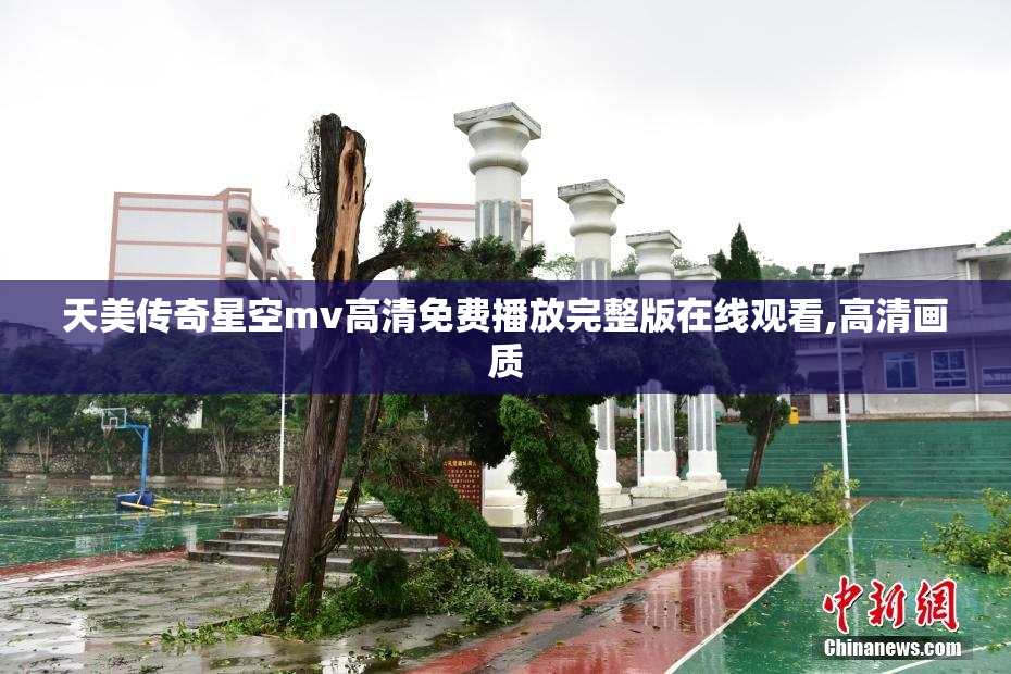 天美传奇星空mv高清免费播放完整版在线观看,高清画质