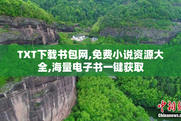 TXT下载书包网,免费小说资源大全,海量电子书一键获取