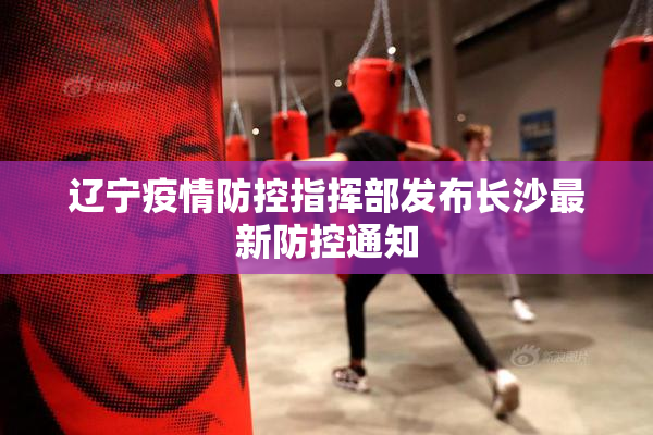 辽宁疫情防控指挥部发布长沙最新防控通知