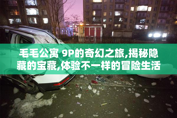 毛毛公寓 9P的奇幻之旅,揭秘隐藏的宝藏,体验不一样的冒险生活