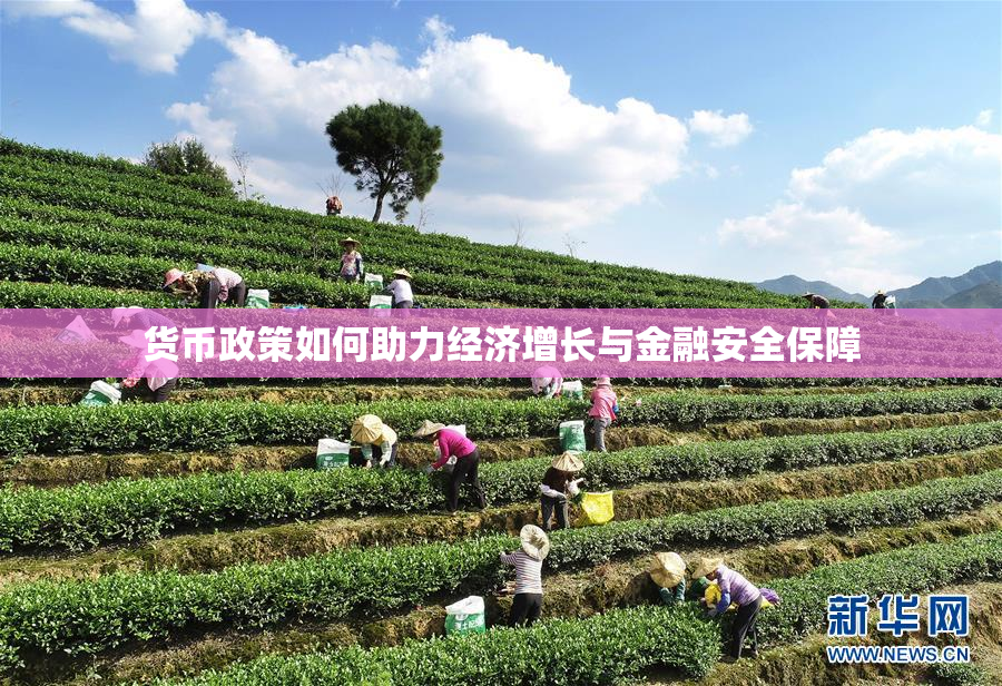 货币政策如何助力经济增长与金融安全保障