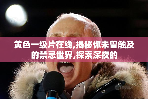 黄色一级片在线,揭秘你未曾触及的禁忌世界,探索深夜的