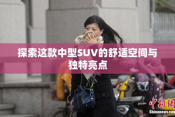 探索这款中型SUV的舒适空间与独特亮点