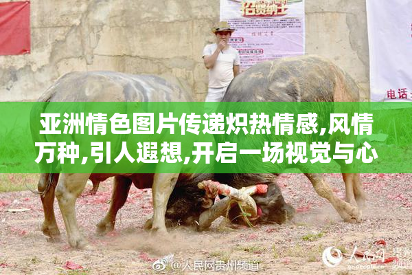 亚洲情色图片传递炽热情感,风情万种,引人遐想,开启一场视觉与心灵