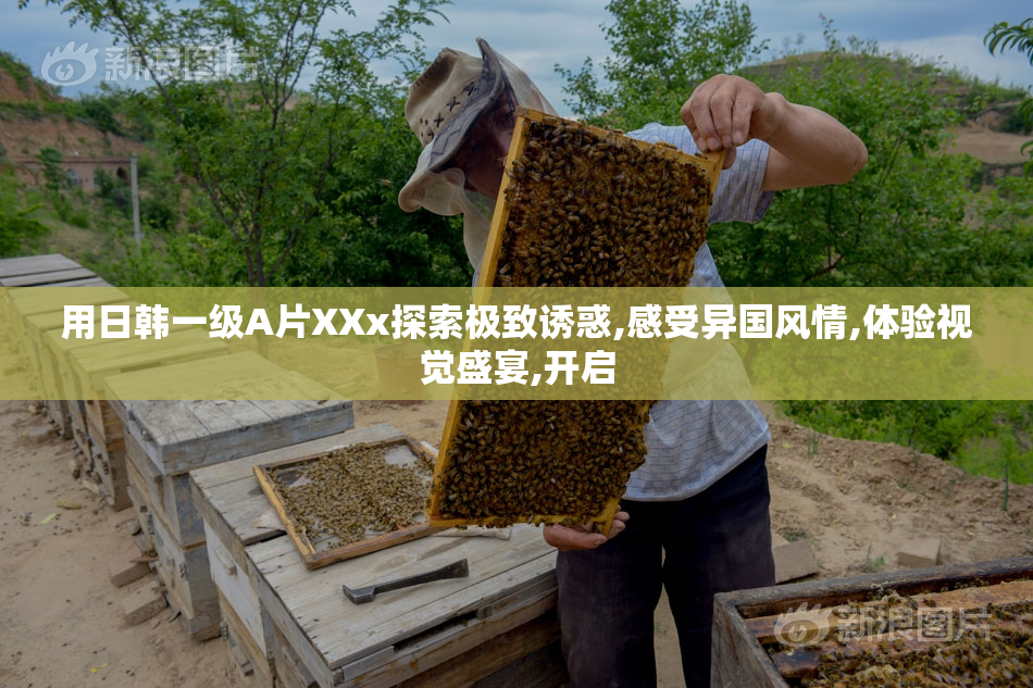 用日韩一级A片XXx探索极致诱惑,感受异国风情,体验视觉盛宴,开启