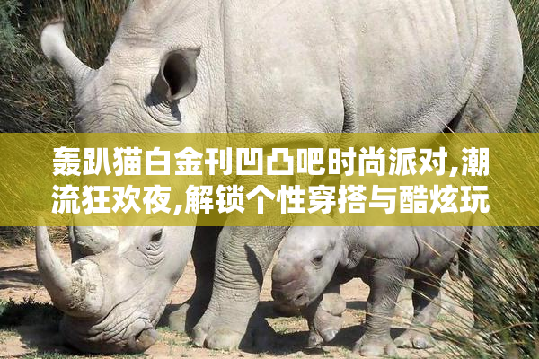 轰趴猫白金刊凹凸吧时尚派对,潮流狂欢夜,解锁个性穿搭与酷炫玩法