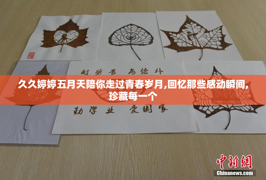 久久婷婷五月天陪你走过青春岁月,回忆那些感动瞬间,珍藏每一个