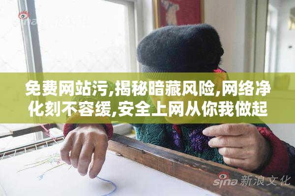 免费网站污,揭秘暗藏风险,网络净化刻不容缓,安全上网从你我做起