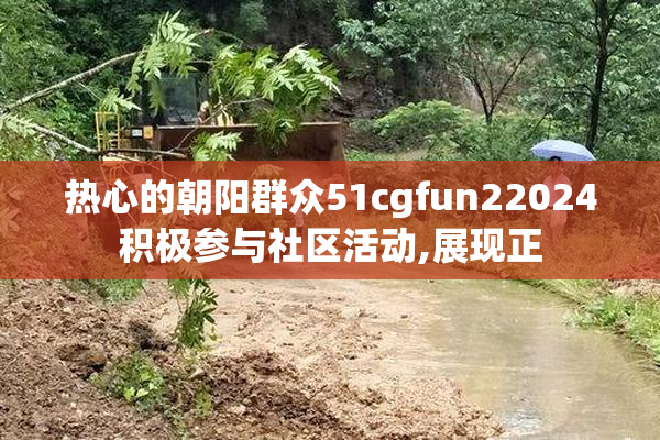 热心的朝阳群众51cgfun22024积极参与社区活动,展现正