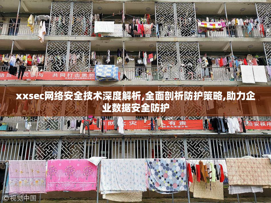 xxsec网络安全技术深度解析,全面剖析防护策略,助力企业数据安全防护