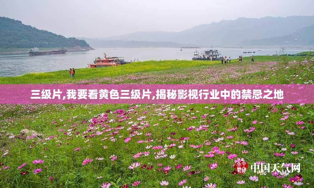 三级片,我要看黄色三级片,揭秘影视行业中的禁忌之地
