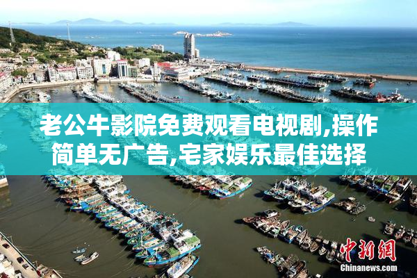 老公牛影院免费观看电视剧,操作简单无广告,宅家娱乐最佳选择