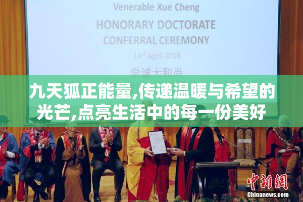 九天狐正能量,传递温暖与希望的光芒,点亮生活中的每一份美好