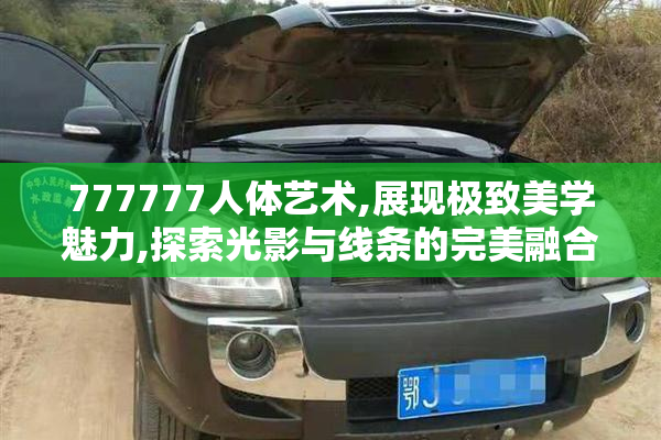 777777人体艺术,展现极致美学魅力,探索光影与线条的完美融合