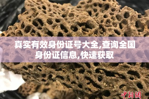 真实有效身份证号大全,查询全国身份证信息,快速获取