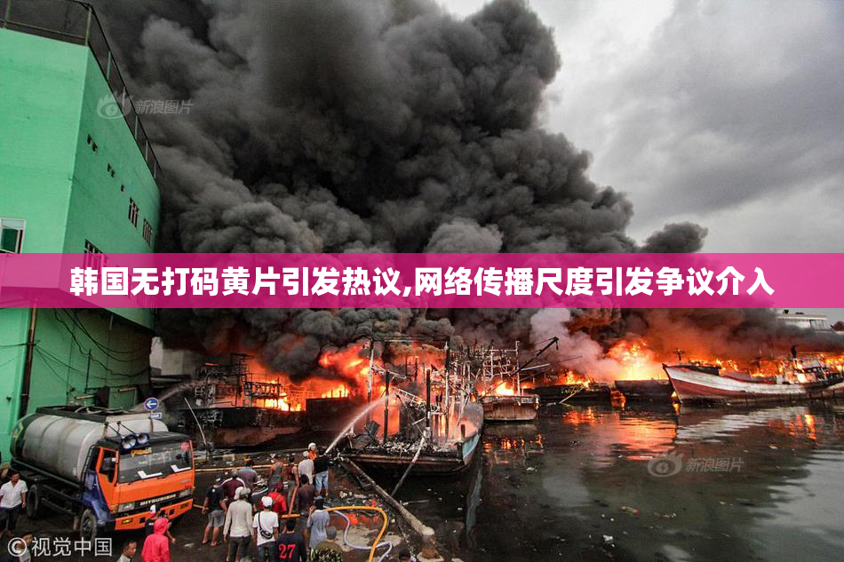 韩国无打码黄片引发热议,网络传播尺度引发争议介入
