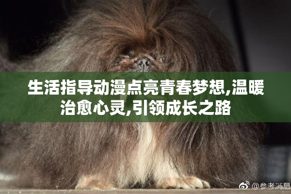 生活指导动漫点亮青春梦想,温暖治愈心灵,引领成长之路