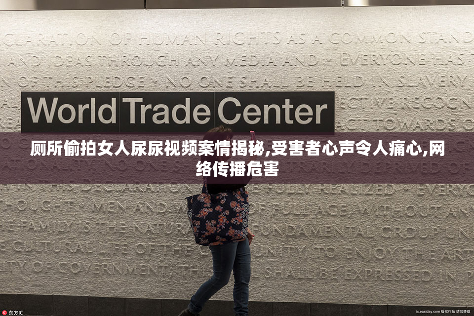 厕所偷拍女人尿尿视频案情揭秘,受害者心声令人痛心,网络传播危害