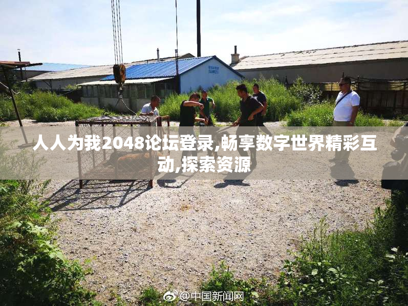 人人为我2048论坛登录,畅享数字世界精彩互动,探索资源
