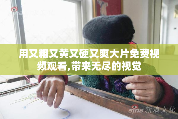 用又粗又黄又硬又爽大片免费视频观看,带来无尽的视觉