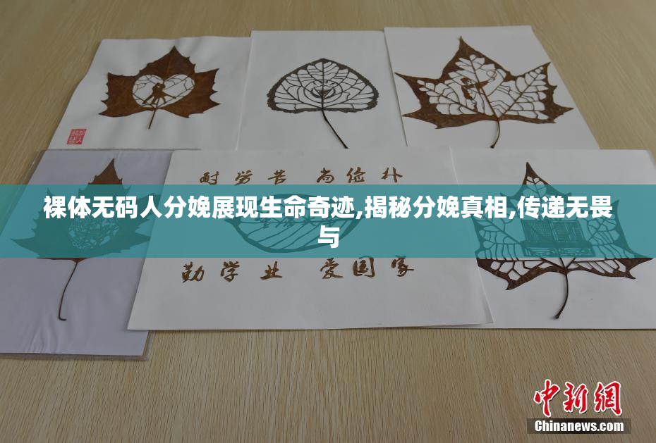 裸体无码人分娩展现生命奇迹,揭秘分娩真相,传递无畏与