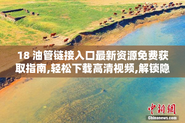 18 油管链接入口最新资源免费获取指南,轻松下载高清视频,解锁隐藏