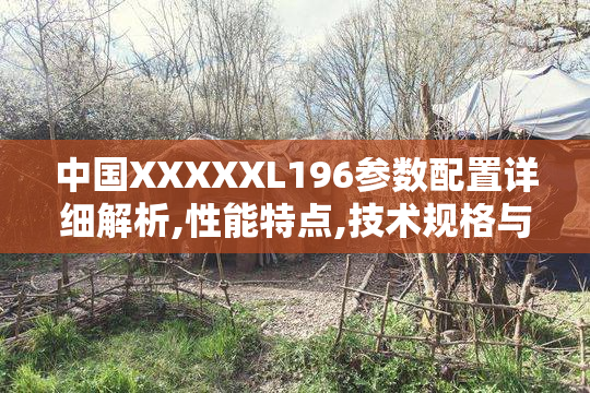中国XXXXXL196参数配置详细解析,性能特点,技术规格与