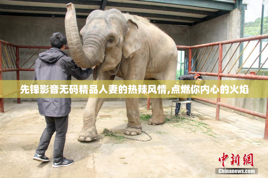 先锋影音无码精品人妻的热辣风情,点燃你内心的火焰