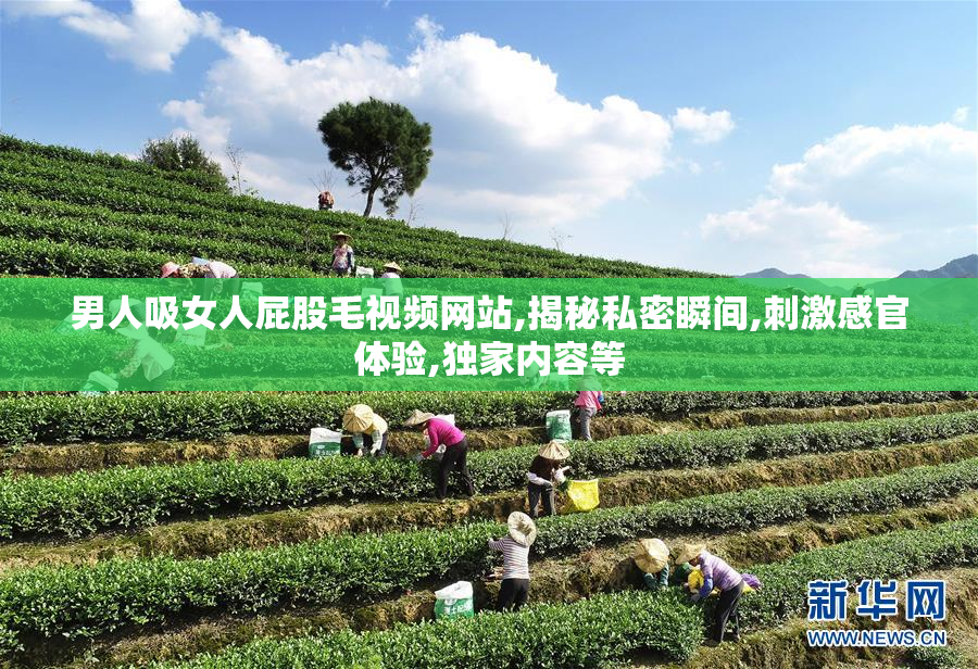 男人吸女人屁股毛视频网站,揭秘私密瞬间,刺激感官体验,独家内容等
