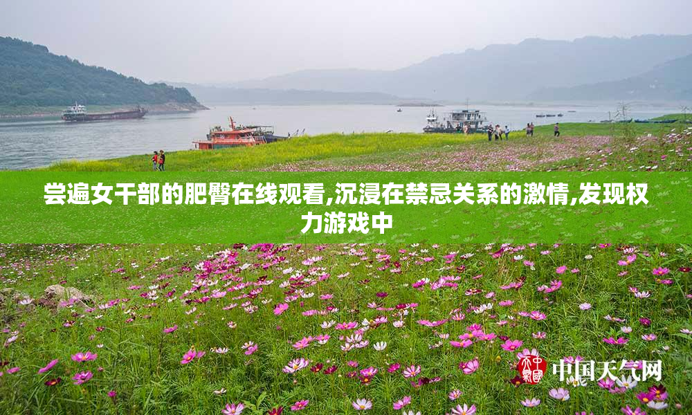 尝遍女干部的肥臀在线观看,沉浸在禁忌关系的激情,发现权力游戏中