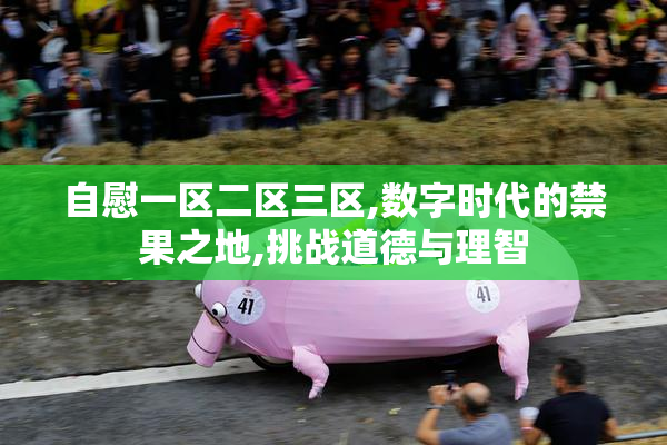 自慰一区二区三区,数字时代的禁果之地,挑战道德与理智