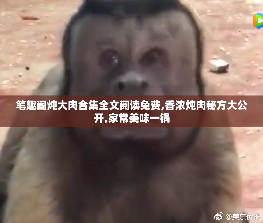 笔趣阁炖大肉合集全文阅读免费,香浓炖肉秘方大公开,家常美味一锅