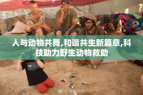 人与动物共舞,和谐共生新篇章,科技助力野生动物救助