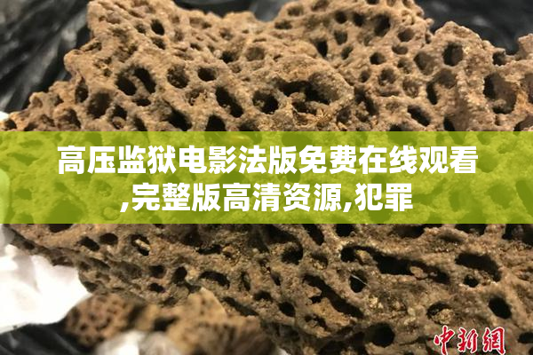 高压监狱电影法版免费在线观看,完整版高清资源,犯罪