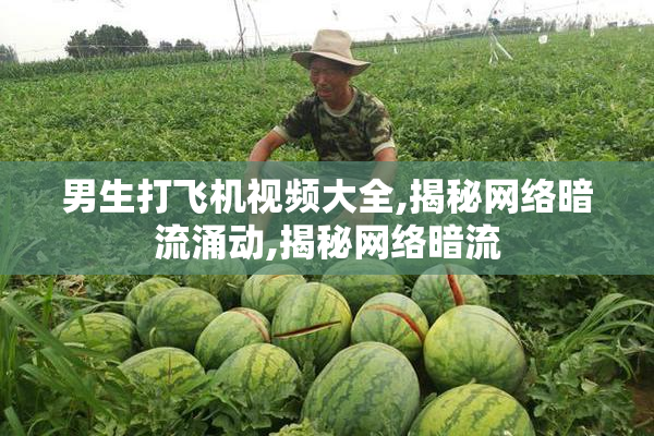 男生打飞机视频大全,揭秘网络暗流涌动,揭秘网络暗流