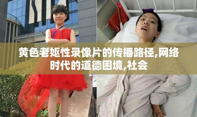 黄色老妪性录像片的传播路径,网络时代的道德困境,社会
