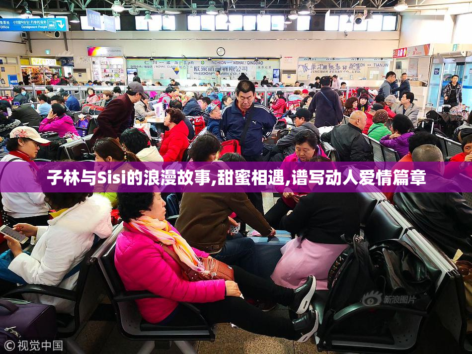 子林与Sisi的浪漫故事,甜蜜相遇,谱写动人爱情篇章
