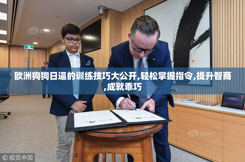 欧洲狗狗日逼的训练技巧大公开,轻松掌握指令,提升智商,成就乖巧