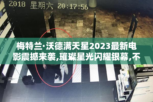 梅特兰·沃德满天星2023最新电影震撼来袭,璀璨星光闪耀银幕,不容
