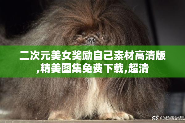 二次元美女奖励自己素材高清版,精美图集免费下载,超清