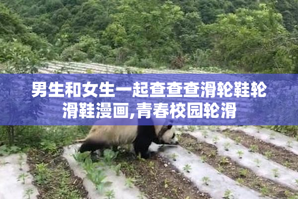 男生和女生一起查查查滑轮鞋轮滑鞋漫画,青春校园轮滑