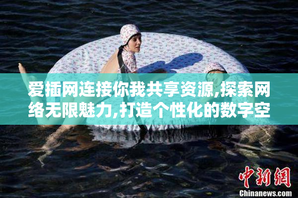 爱插网连接你我共享资源,探索网络无限魅力,打造个性化的数字空间